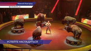 Легендарное шоу Гии Эрадзе «5 Континентов» - на арене нижегородского цирка!