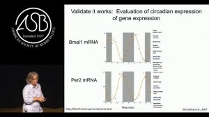 Esser - Circadian rhythms, molecular clocks, skeletal muscle and mechanics