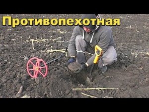 Сразу Страшно было брать в Руки. В поисках Золота И старины.