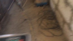 СУПЕР РЕЗУЛЬТАТ. Протестировали премикс HENDRIX. Поросятам три месяца. Свиноводство.