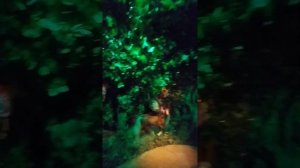 Особняк - Небылица?♀️ Сказочный музей?♂️