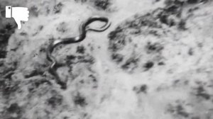 Встречи Военных С Неопознанными Существами