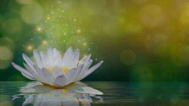 Reiki Music, Healing Sleep Music, Zen Meditation, Energy Healing, Positive Energy, Healing Music