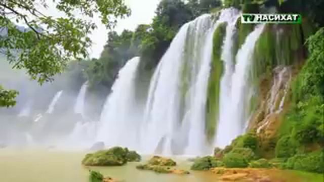 Пророк Мухаммада с.а.в  плачет за свою умму смотреть онлайн