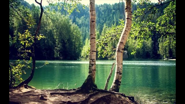 Трек про березу смотреть онлайн