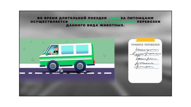 Ответы на самые частые вопросы при доставке животных по России.