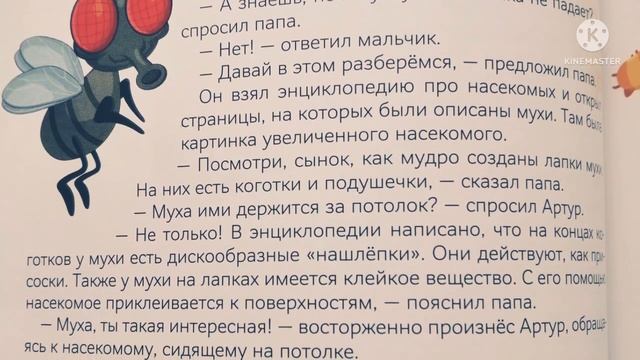 Почему муха не падает с потолка? смотреть онлайн