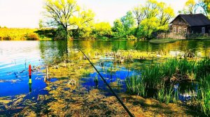 Весь карась на мели, рыбалка весной ловля карася на удочку.