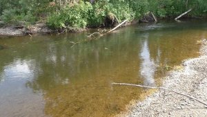 87 Серия Поймал Рыбу Хариус На Рыбной яме Удочка Поплавок Тайга, Вторая Рыбная Яма