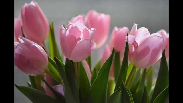 Посиделки, болталки смотреть онлайн