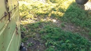 Е-302 Как устранить наматывание зеленой массы на шнэк жатки Е-023