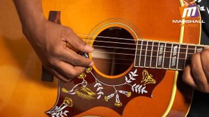 Gibson - Hummingbird - Acoustics