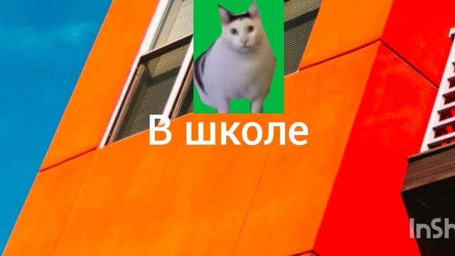 Мои будни