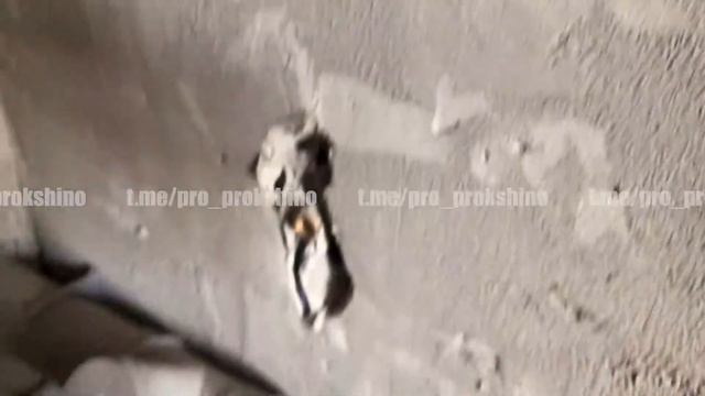 ЖК Прокшино. Планировки квартир второго дома, парковка, подъезд.