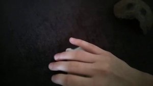 Кого лучше выбрать: мальчика или девочку джунгарского хомяка.