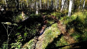 Внедорожные ШИНЫ САФАРИ 510. ПОЛНЫЙ ОБЗОР. Грязевая резина