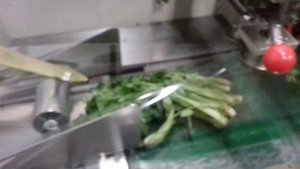 PROSTOR-450 S - упаковка петрушки