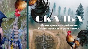 СКАЛБА. Мечта кросс-кантрийщика.
Корни, кочки и гнутые петухи.