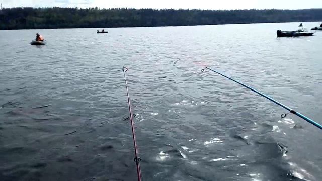 Хариус на балду с 10метров. смотреть онлайн