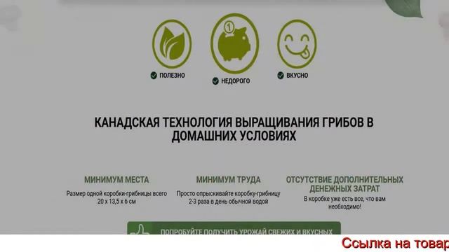 Домашняя Грибница Цена, Отзывы, Купить, Грибы Дома, Украина, Россия, Казахстан смотреть онлайн