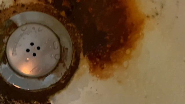 Sink Shroom - As Seen On TV Product Test смотреть онлайн