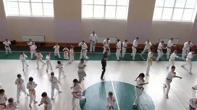 Семинар Киокушин 2013 смотреть онлайн