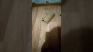 Мой новый аниматроник установил 2 пневматических механизма