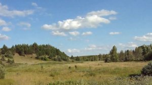 Сильный ветер в русской степи