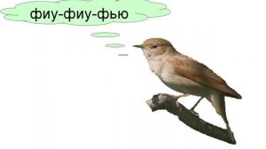 Как говорят животные