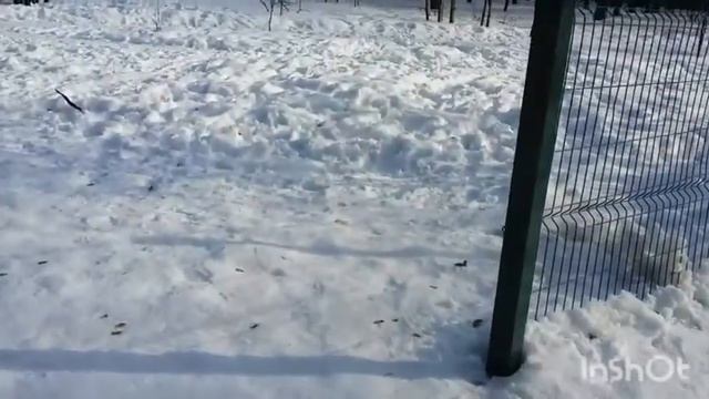 Парк в Люберцах. Наташинские пруды. Рецепт быстрых бутербродов. смотреть онлайн