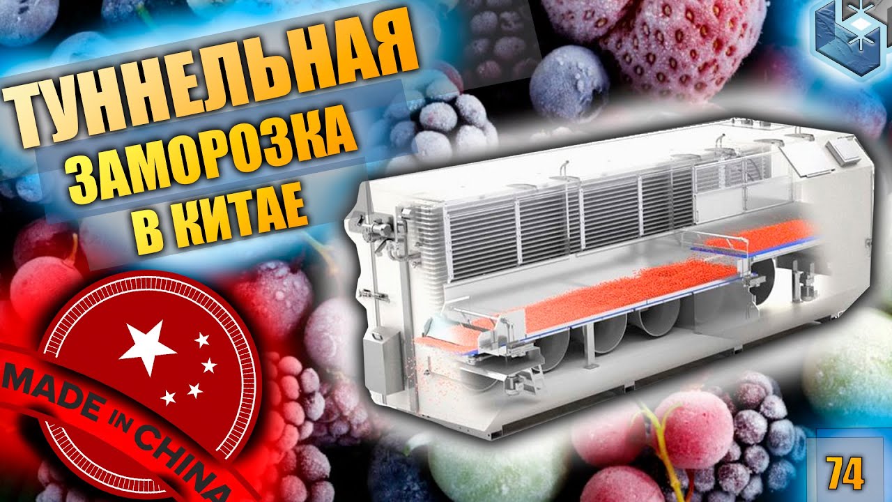 Туннельная заморозка до 100 тонн/сутки. Прослужит ли "Китай" 50 лет?! Что такое Импаймент?!