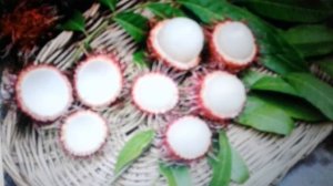 Рамбутан - экзотический фрукт: польза и вред.