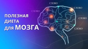 Чем питается мозг человека? Очистка мозга от ненужной информации. Полезная информация для мозга