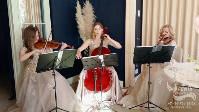 Заказать струнный коллектив на встречу гостей - живая музыка на свадьбу, праздник и юбилей в Москве