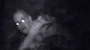 5 Жутких Существ Снятых на Видео