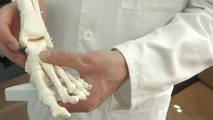 Полезный отдых. Школа здоровья