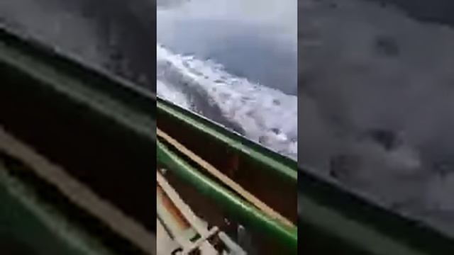 Видео от клиента  Лодка + мотор 30 лс Mikatsu Микатсу