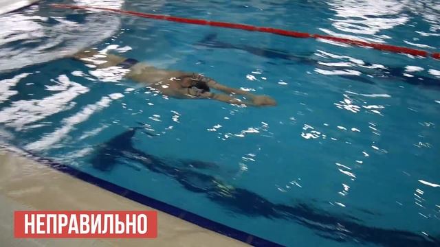 Ты точно делаешь эти 5 ошибок при плавании баттерфляем. Чемпион мира Никита Коновалов