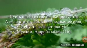 Почему нельзя пить воду стоя?