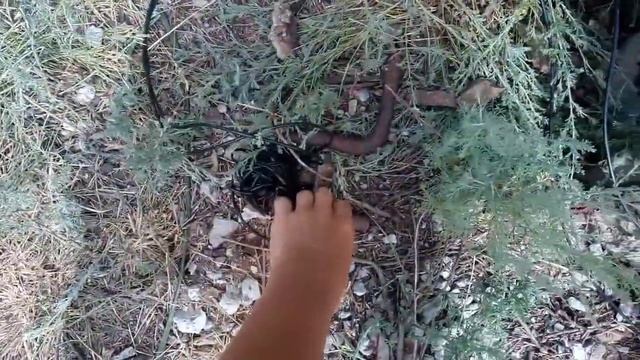 Поваленный столб. Изоляторы смотреть онлайн