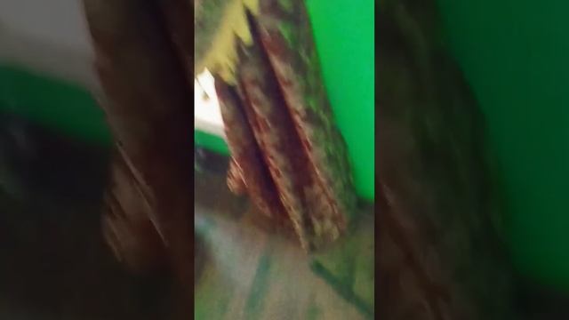 ?? КТО ТУТ ??