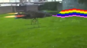 IRL NYAN CAT