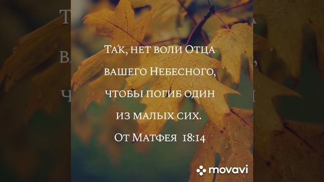 19 стихов из Библии о воле Божьей