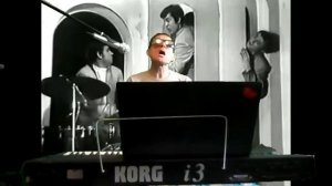 ИДЁМ ПОЙДЁМ В ДОЛЬ УЛИЦЫ Ал.Гущин(кавер) виа Песняры.mp4