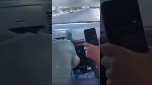 Шашки МОСКВА SHASHKI.MSK