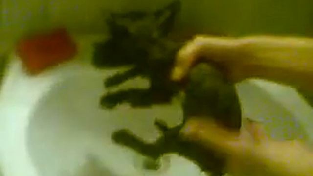 Крыска) смотреть онлайн