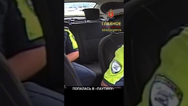 ПОПАЛАСЬ В «ПАУТИНУ»