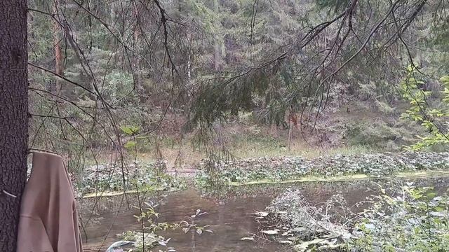 Золото в щетках 3 смотреть онлайн