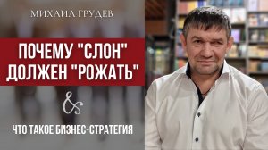 Почему "СЛОН" должен "рожать" или - что такое БИЗНЕС-СТРАТЕГИЯ. Секрет успеха. Михаил Грудев. ИЗВОР