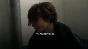 киса черная весна